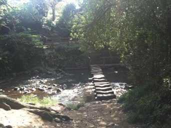 Egton Bridge Stepping stones Photo