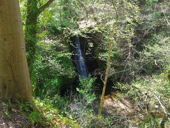 falling foss waterfall