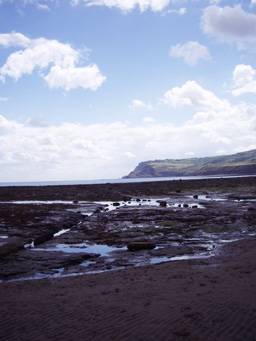 The Rocky Shore at Robin Hood's Bay Photo