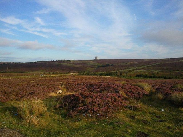 North Yorkshire Moors photograph