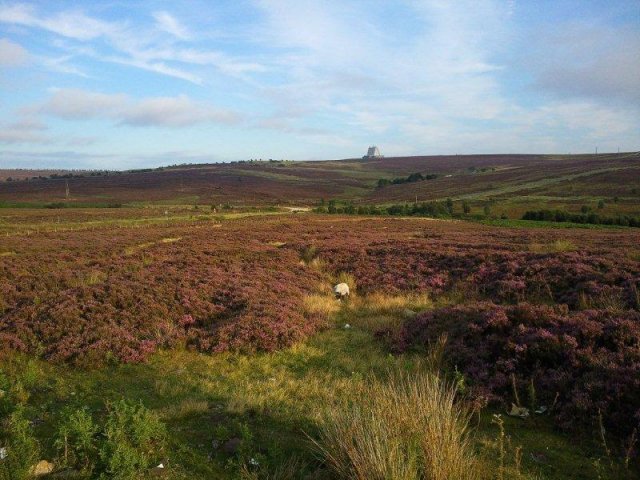 North Yorkshire Moors photograph