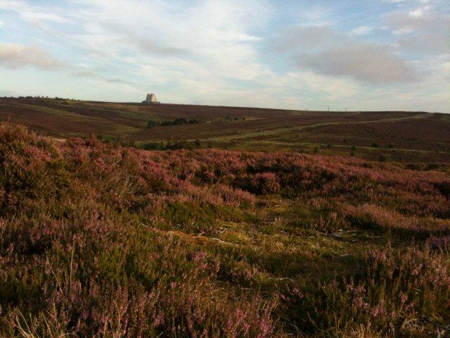 North Yorkshire Moors photograph