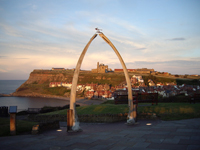 Whitby Whale bones photo