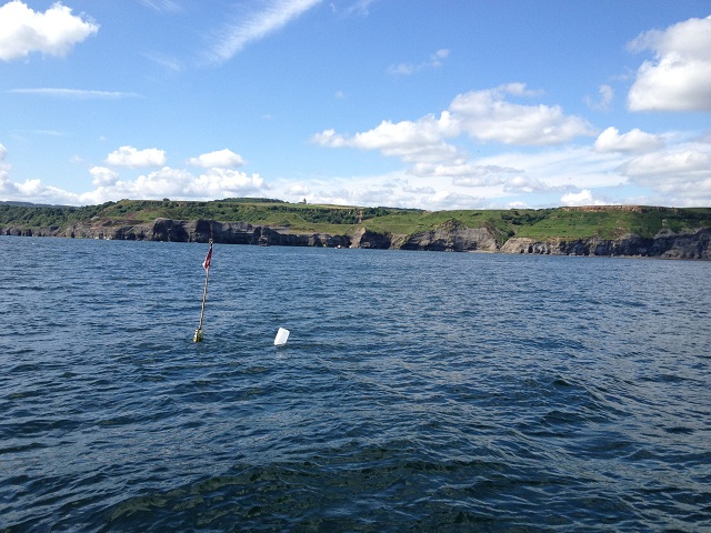 Photo of a marker buoy