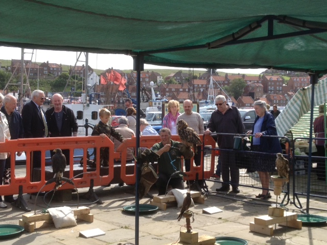 Photo of the Bird of Prey tent on the Dock End